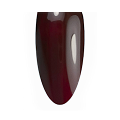AN Gel Polish 8g Black Berry