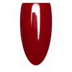 AN Gel Polish 8g Beautiful Bordeaux