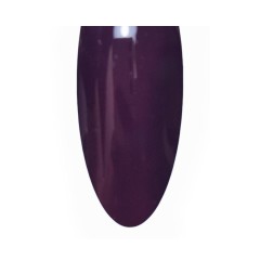 AN Gel Polish 8g Rainy Raisin
