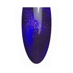 AN Gel Polish 8g Polished Purple (Cateye)